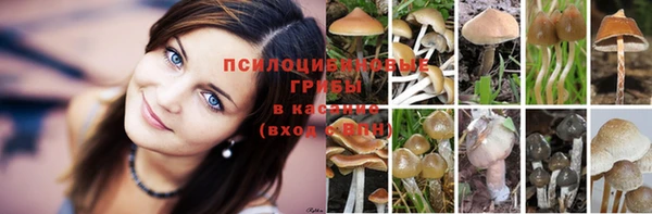 экстази Арсеньев