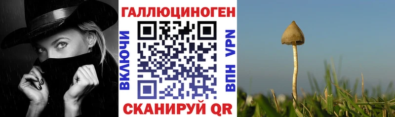 ссылка на мегу вход  Балабаново  Псилоцибиновые грибы Psilocybe  цены наркотик 